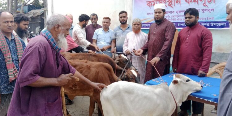 আত্মকর্মসংস্থানের লক্ষ্যে চাঁপাইনবাবগঞ্জে নূরুল ইসলাম বুলবুলের গাভী বিতরণ